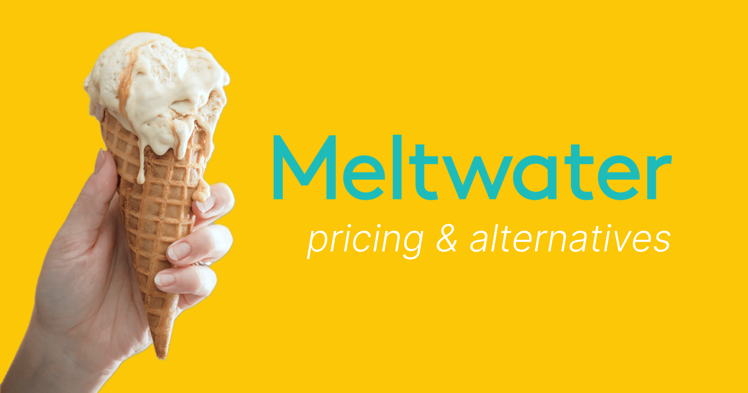 Academy: Meltwater pricing 2024: How much does it really cost?